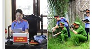 Một vụ án hình sự có thể có nhiều Kiểm tra viên cùng giải quyết không?