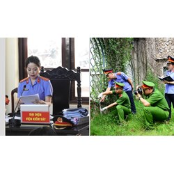 Một vụ án hình sự có thể có nhiều Kiểm tra viên cùng giải quyết không?