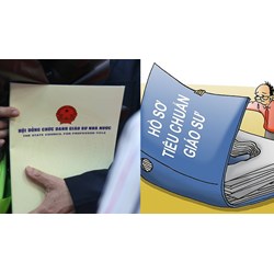 Phó giáo sư có bắt buộc có khả năng giao tiếp bằng tiếng Anh không?