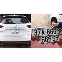 Lịch đấu giá biển số xe ô tô ngày 29/5/2024 như thế nào?