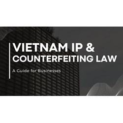 Vietnam IP & Anti-Counterfeiting Laws: A Guide for Businesses