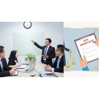 Khi nào được cấp giấy chứng nhận kiểm tra kết quả tập sự hành nghề luật sư?