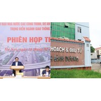 Sở Kế hoạch và Đầu tư chịu sự chỉ đạo, quản lý của cơ quan nào?