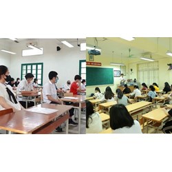 Nhiệm vụ, quyền hạn của phó hiệu trưởng trường tiểu học thế nào?
