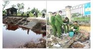 Thực hiện giám định thiệt hại do suy giảm chức năng, tính hữu ích của môi trường khi nào?