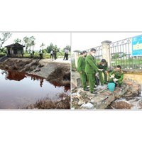 Thực hiện giám định thiệt hại do suy giảm chức năng, tính hữu ích của môi trường khi nào?