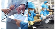 Nguyên tắc thực hiện hỗ trợ pháp lý cho doanh nghiệp nhỏ và vừa