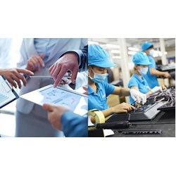 Nguyên tắc thực hiện hỗ trợ pháp lý cho doanh nghiệp nhỏ và vừa