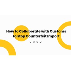 How to Collaborate with Customs to Stop Counterfeit Imports
