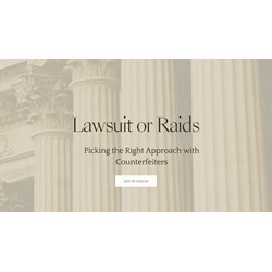 Lawsuits or Raids? Picking the Right Approach vs. Counterfeiters
