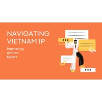 Navigating Vietnam's IP Landscape: Partner with an Expert
