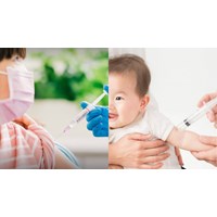 Quy trình tiêm chủng gồm có mấy bước theo quy định?
