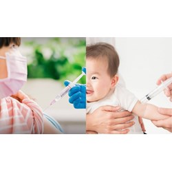 Quy trình tiêm chủng gồm có mấy bước theo quy định?