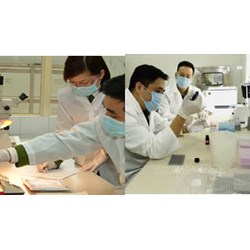 Tiêu chuẩn đối với các chức vụ quản lý trong đơn vị pháp y, pháp y tâm thần