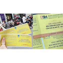 Mức trách nhiệm bảo hiểm xe máy đối với thiệt hại về tài sản mới nhất