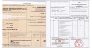 CO form E có được kê khai bằng tiếng Tiếng Việt hay không?