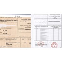 CO form E có được kê khai bằng tiếng Tiếng Việt hay không?