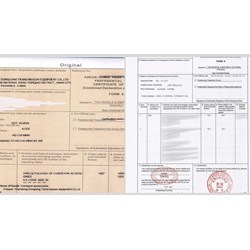 CO form E có được kê khai bằng tiếng Tiếng Việt hay không?