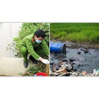 Trách nhiệm chứng minh mối quan hệ nhân quả giữa hành vi vi phạm gây ô nhiễm môi trường và thiệt hại