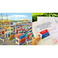 Danh sách các cơ quan cấp CFS đối với hàng hóa xuất khẩu