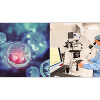 Mắc bệnh truyền nhiễm có được thực hiện kỹ thuật thụ tinh trong ống nghiệm không?