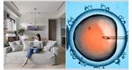 Phụ nữ độc thân có được đề nghị thực hiện thụ tinh trong ống nghiệm không?