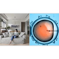 Phụ nữ độc thân có được đề nghị thực hiện thụ tinh trong ống nghiệm không?