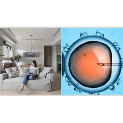 Phụ nữ độc thân có được đề nghị thực hiện thụ tinh trong ống nghiệm không?