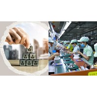 Link nộp báo cáo tình hình sử dụng lao động 6 tháng đầu năm 2024