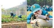 Thời hạn thực hiện nghĩa vụ tham gia dân quân cơ động và Dân quân tự vệ thường trực có giống nhau không?