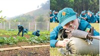 Thời hạn thực hiện nghĩa vụ tham gia dân quân cơ động và Dân quân tự vệ thường trực có giống nhau không?