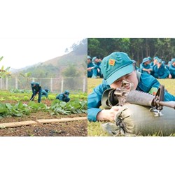 Thời hạn thực hiện nghĩa vụ tham gia dân quân cơ động và Dân quân tự vệ thường trực có giống nhau không?