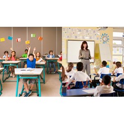 Cử nhân sư phạm có được phép dạy ở trường tiểu học?