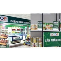 Các nhóm sản phẩm tham gia Chương trình OCOP là gì?