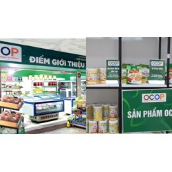 Các nhóm sản phẩm tham gia Chương trình OCOP là gì?