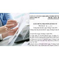 Giấy chứng nhận đăng ký đầu tư có thể hiện mã số dự án đầu tư không?