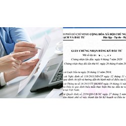 Giấy chứng nhận đăng ký đầu tư có thể hiện mã số dự án đầu tư không?