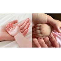Trường hợp nào Sở Tư pháp sẽ thu lệ phí đăng ký nuôi con nuôi?