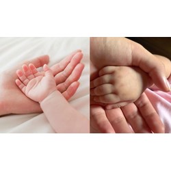 Trường hợp nào Sở Tư pháp sẽ thu lệ phí đăng ký nuôi con nuôi?