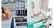 Phá thai bệnh lý có được hưởng bảo hiểm xã hội hay không?