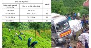 Cách tính mức trợ cấp gạo bảo vệ và phát triển rừng mới nhất