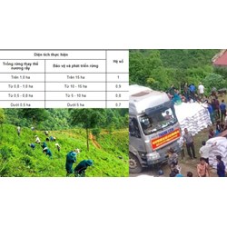 Cách tính mức trợ cấp gạo bảo vệ và phát triển rừng mới nhất