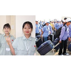 Nghĩa vụ của người lao động Việt Nam đi làm việc ở nước ngoài theo hợp đồng