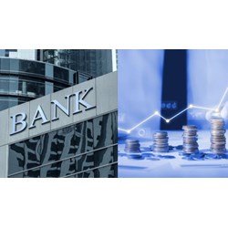 Công ty tài chính tín dụng tiêu dùng có được đấu thầu tín phiếu Kho bạc không?