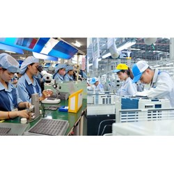 Mức phạt tiền khi chậm nộp báo cáo tình hình sử dụng lao động