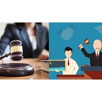 Một đấu giá viên hướng dẫn hai người tập sự hành nghề đấu giá cùng một thời điểm không?