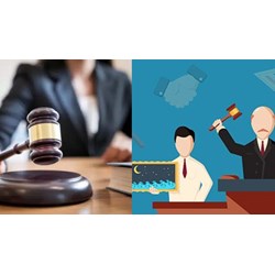 Một đấu giá viên hướng dẫn hai người tập sự hành nghề đấu giá cùng một thời điểm không?