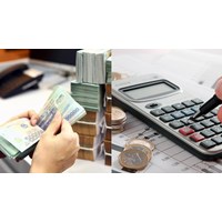 Ngân sách nhà nước được bảo đảm ưu tiên bố trí thực hiện hoạt động nào?