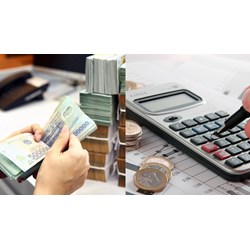Ngân sách nhà nước được bảo đảm ưu tiên bố trí thực hiện hoạt động nào?