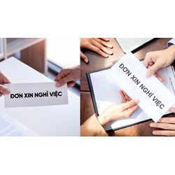 Trong thời gian nghỉ phép, người lao động có được bỏ việc ngang?
